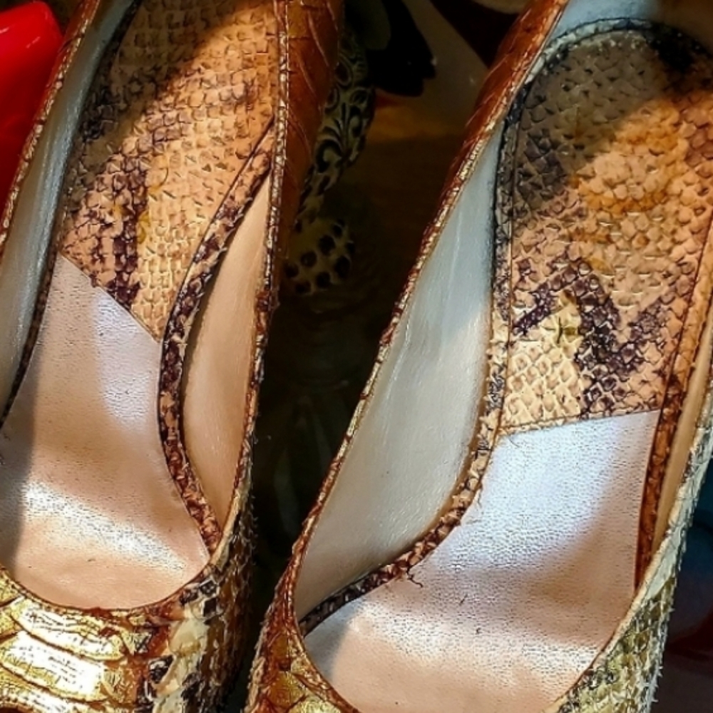Dior Snakeskin Stilettos - Picture 14 of 17